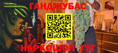 Альфа ПВП Новодвинск