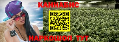 сатива Новокубанск
