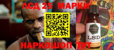 Альфа ПВП Новодвинск