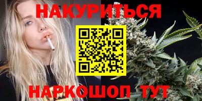 сатива Новокубанск