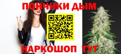 сатива Новокубанск