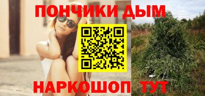 Альфа ПВП Новодвинск
